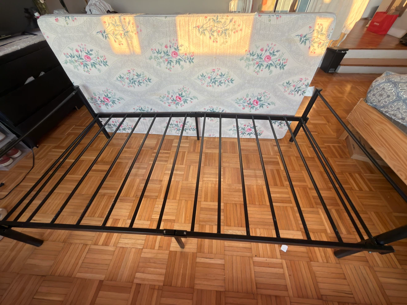 Single Black Metal Bed Frame and mattress