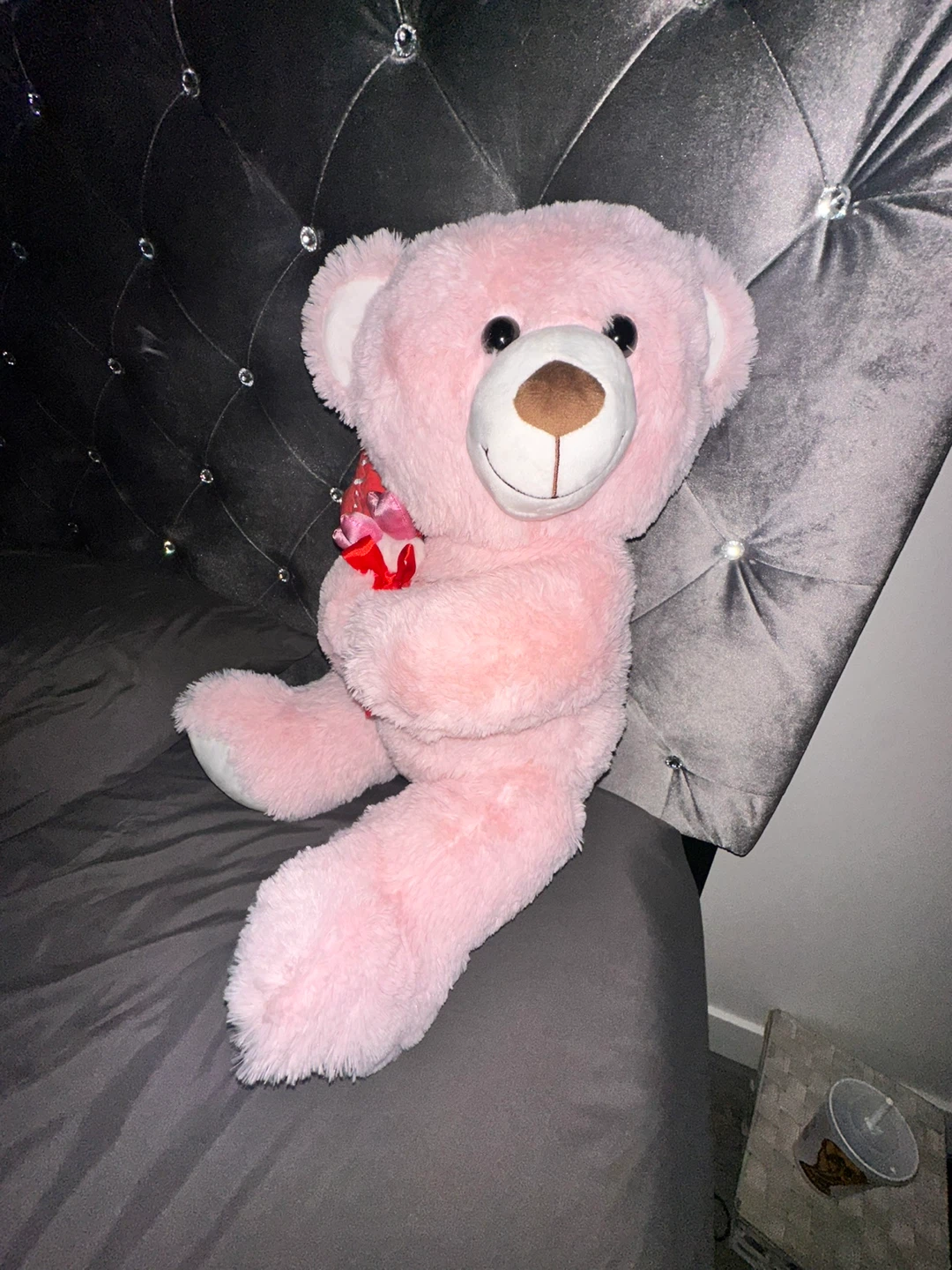 Pink Teddy Bear with Heart