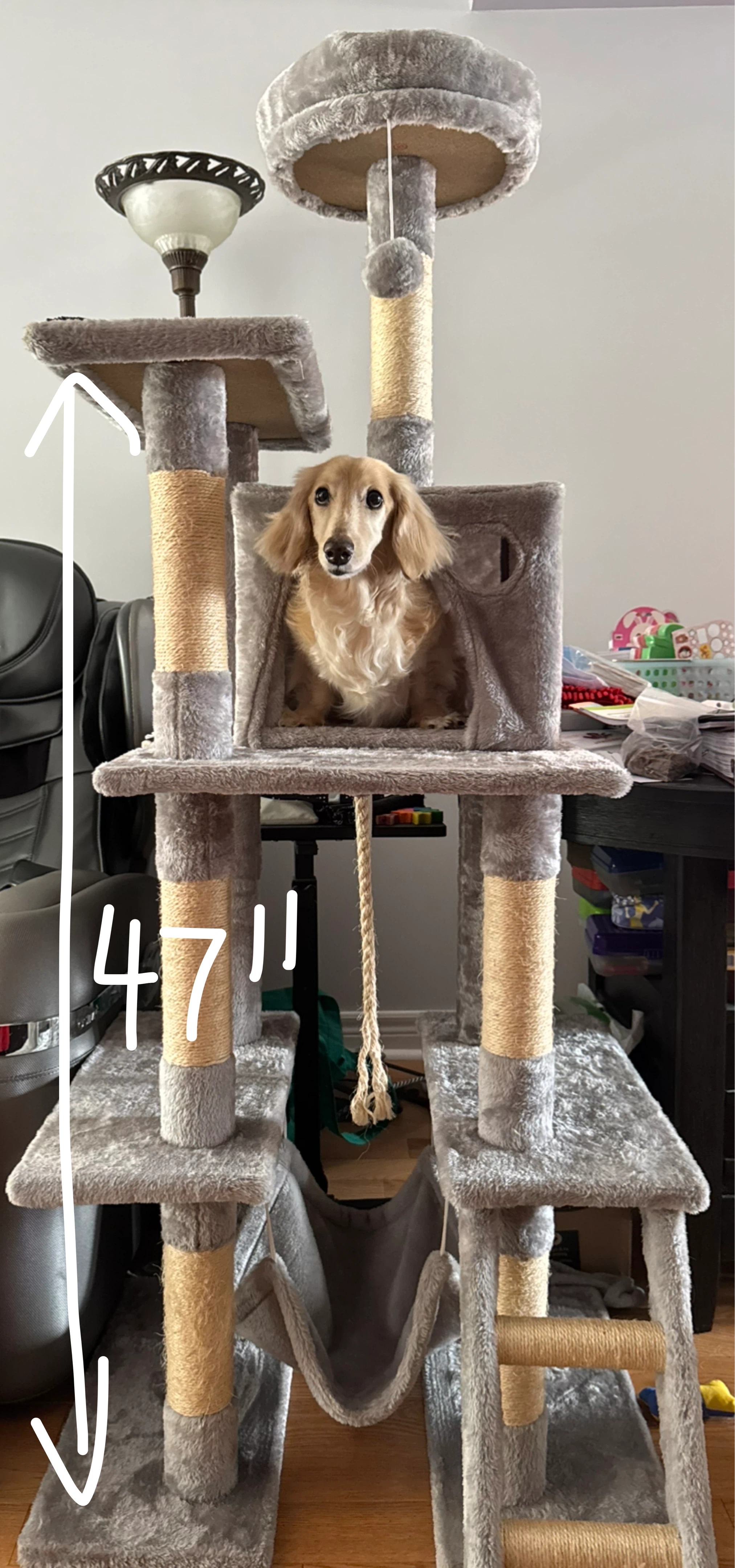 Multi-level Cat Tree with Condo and Hammock