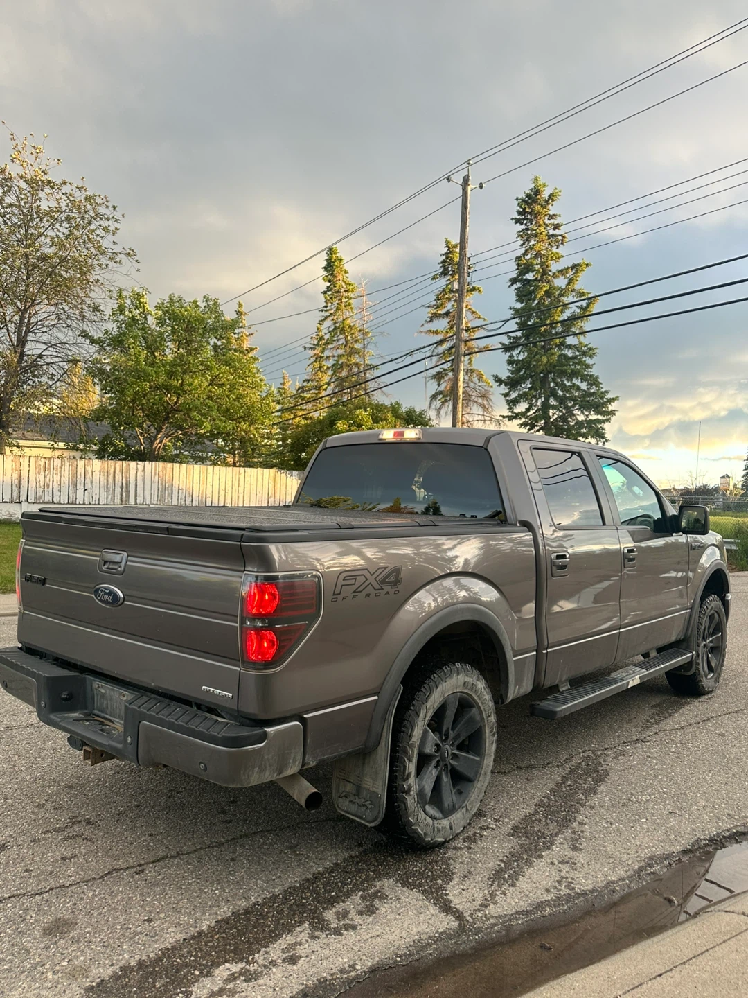 Ford F-150 FX4 Crew Cab Truck - photo 3