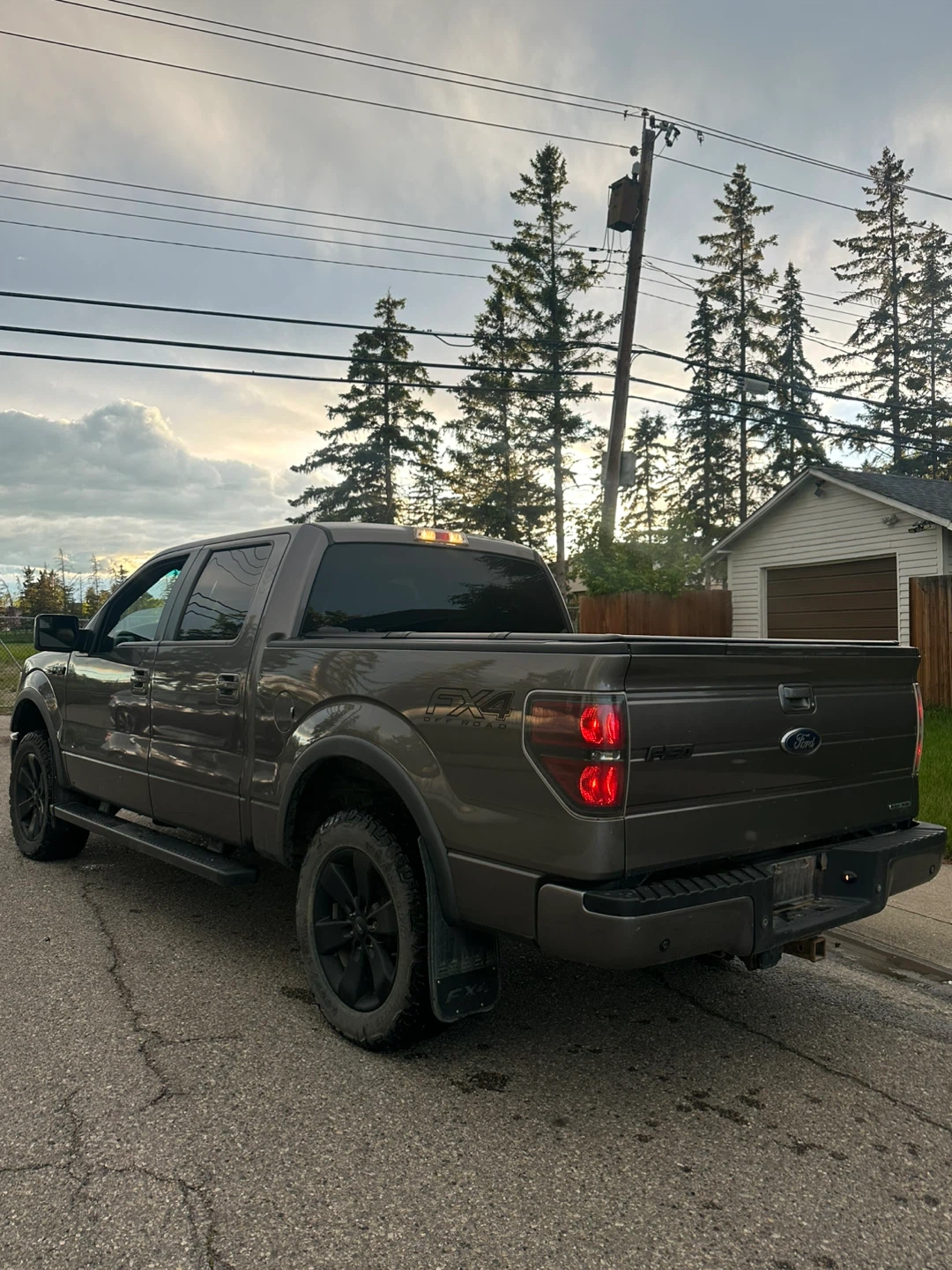 Ford F-150 FX4 Crew Cab Truck - photo 4