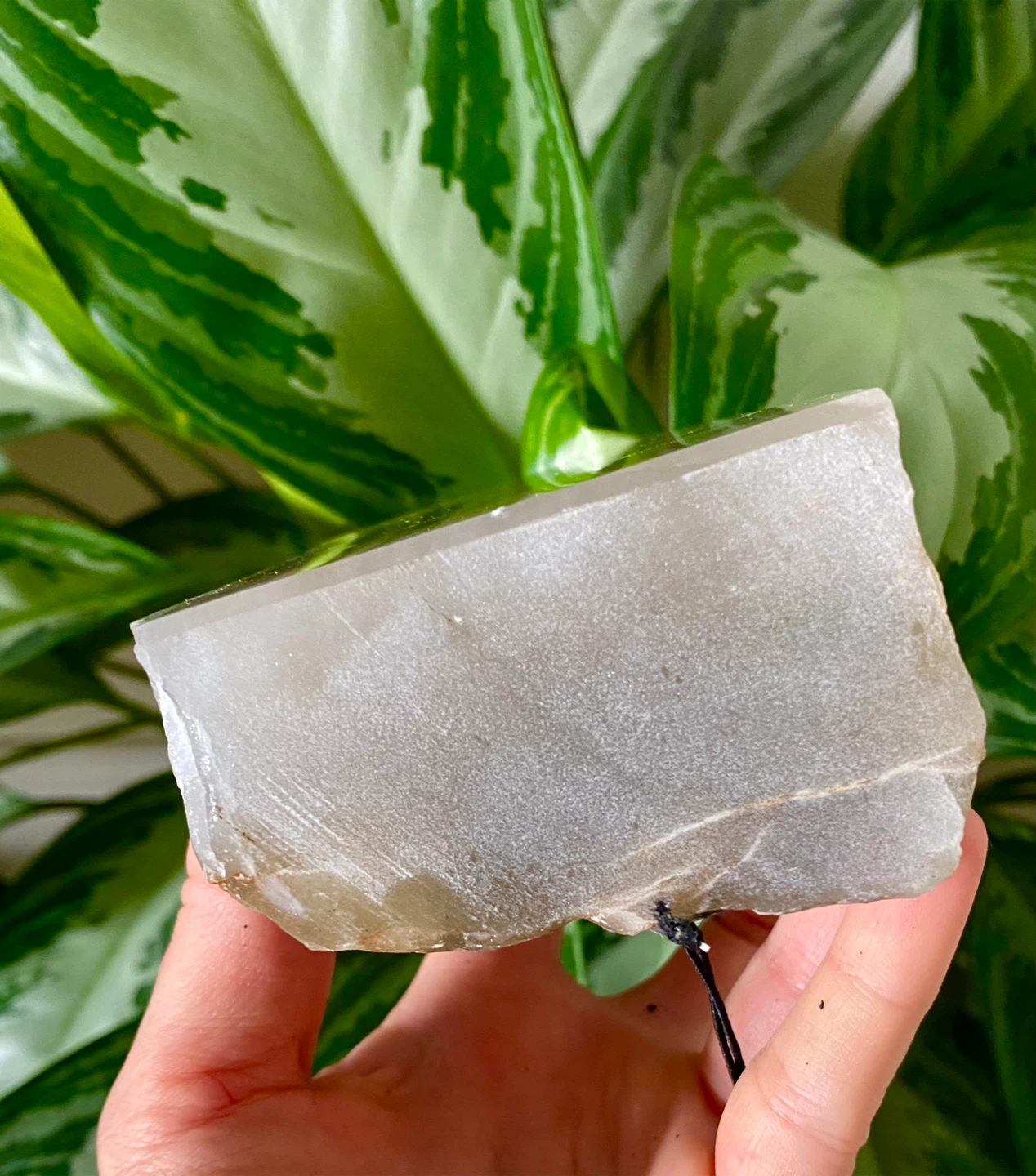 Large Brazilian Aragonite Crystal - photo 5