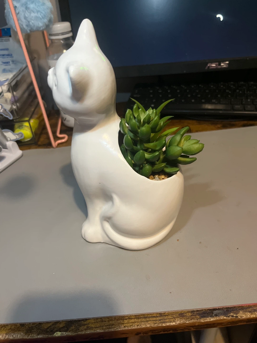 White Ceramic Cat Planter with Succulent - photo 2