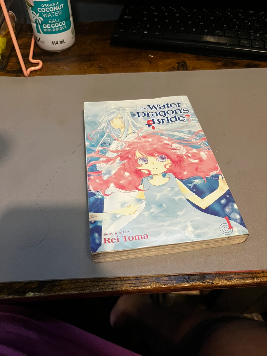 The Water Dragon's Bride Manga - photo 3