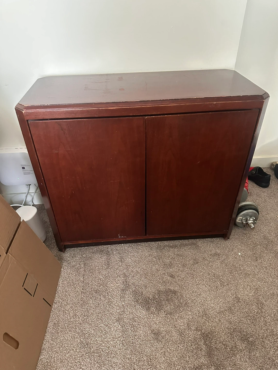 Wooden Cabinet with Double Doors