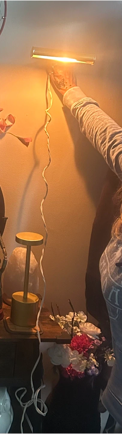 Gold Picture Light Fixture - photo 2
