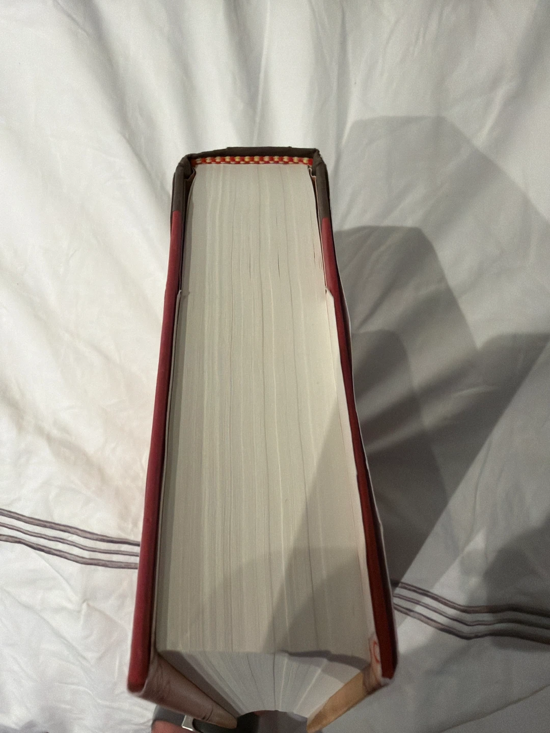 A Column of Fire by Ken Follett - photo 5