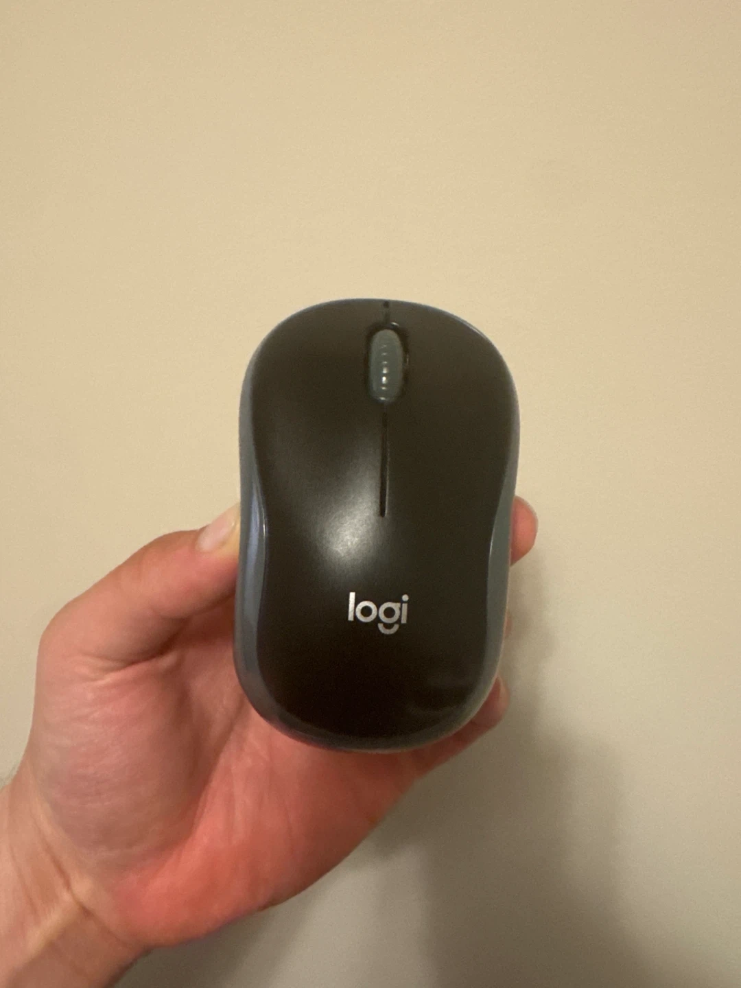 Logitech Wireless Mouse M185