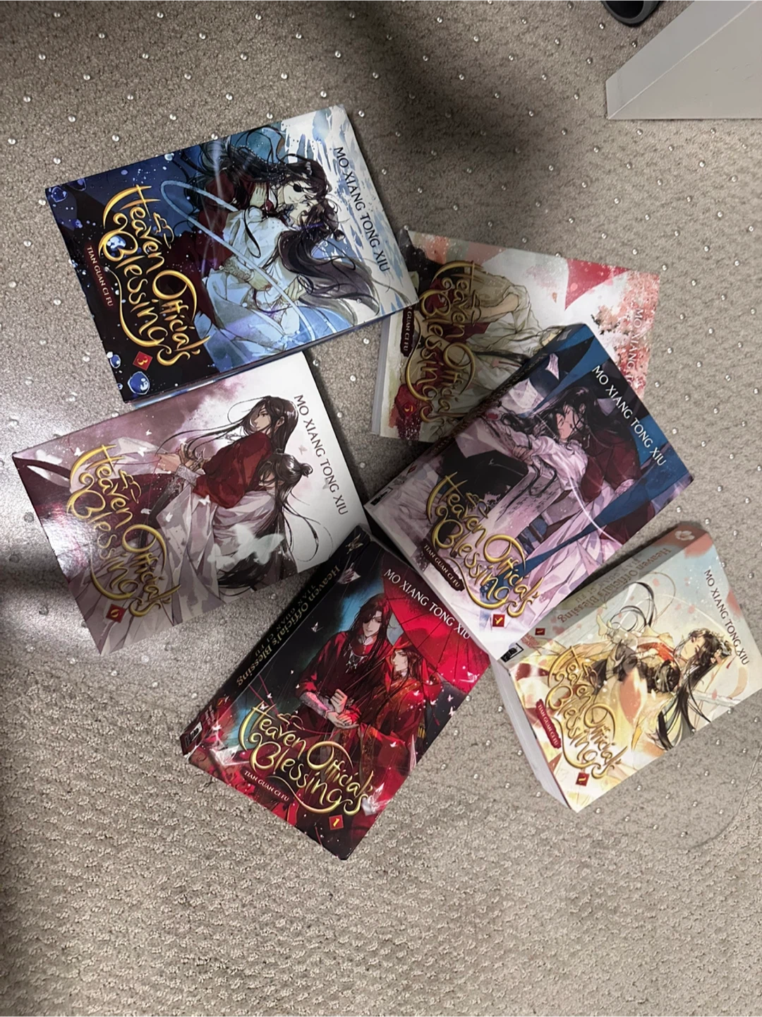 Heaven Official's Blessing Novel Set