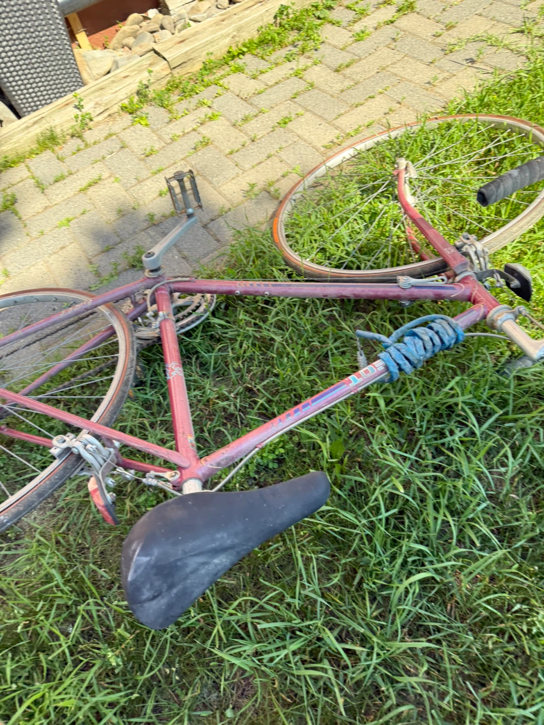 Purple Peugeot 10 Speed Road Bike - photo 4
