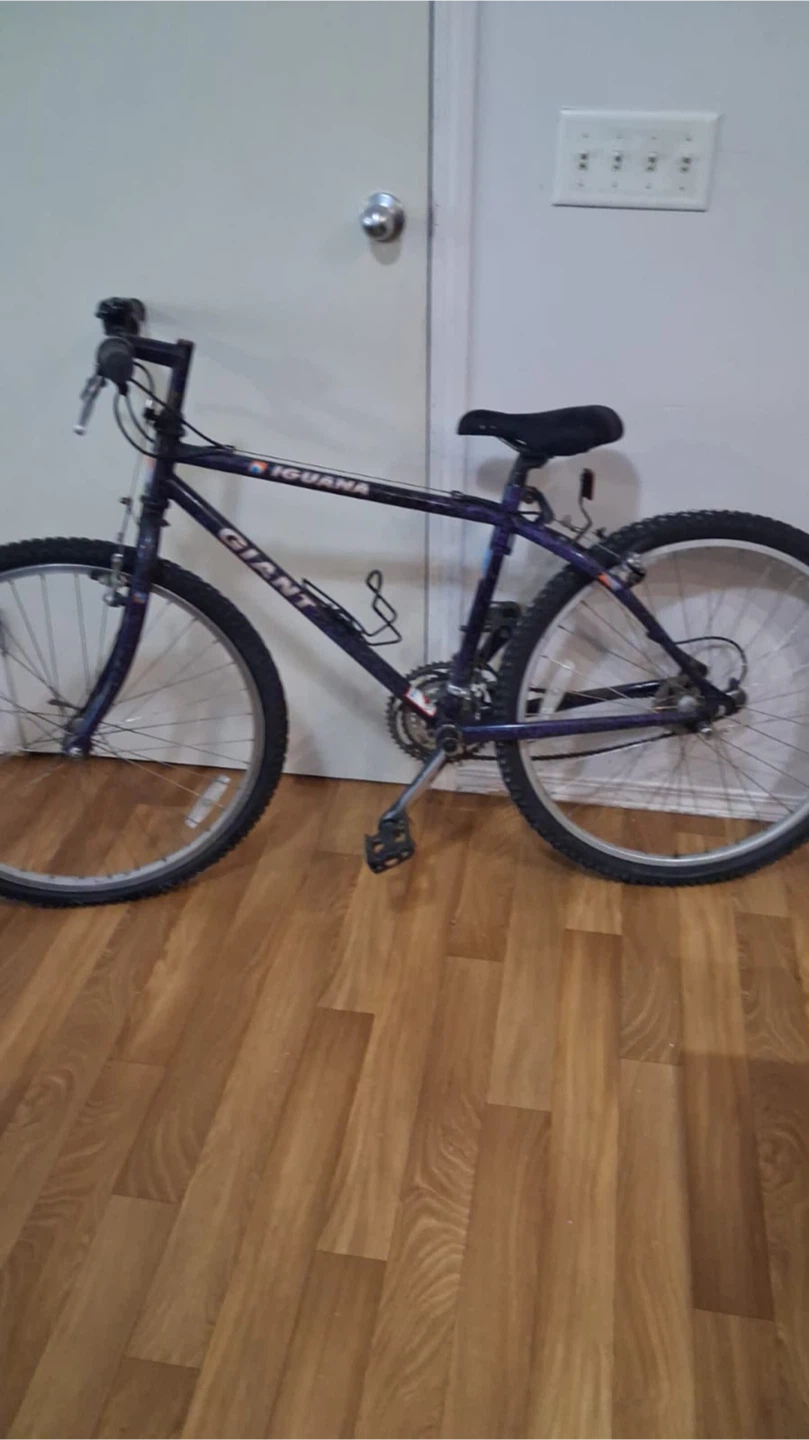 Giant Iguana Mountain Bike - photo 3