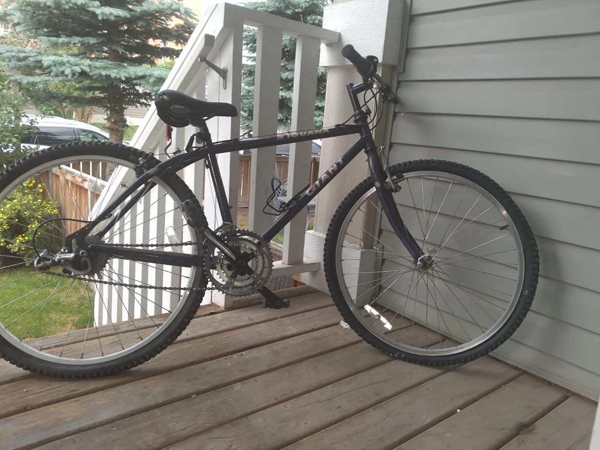 Giant Iguana Mountain Bike - photo 4