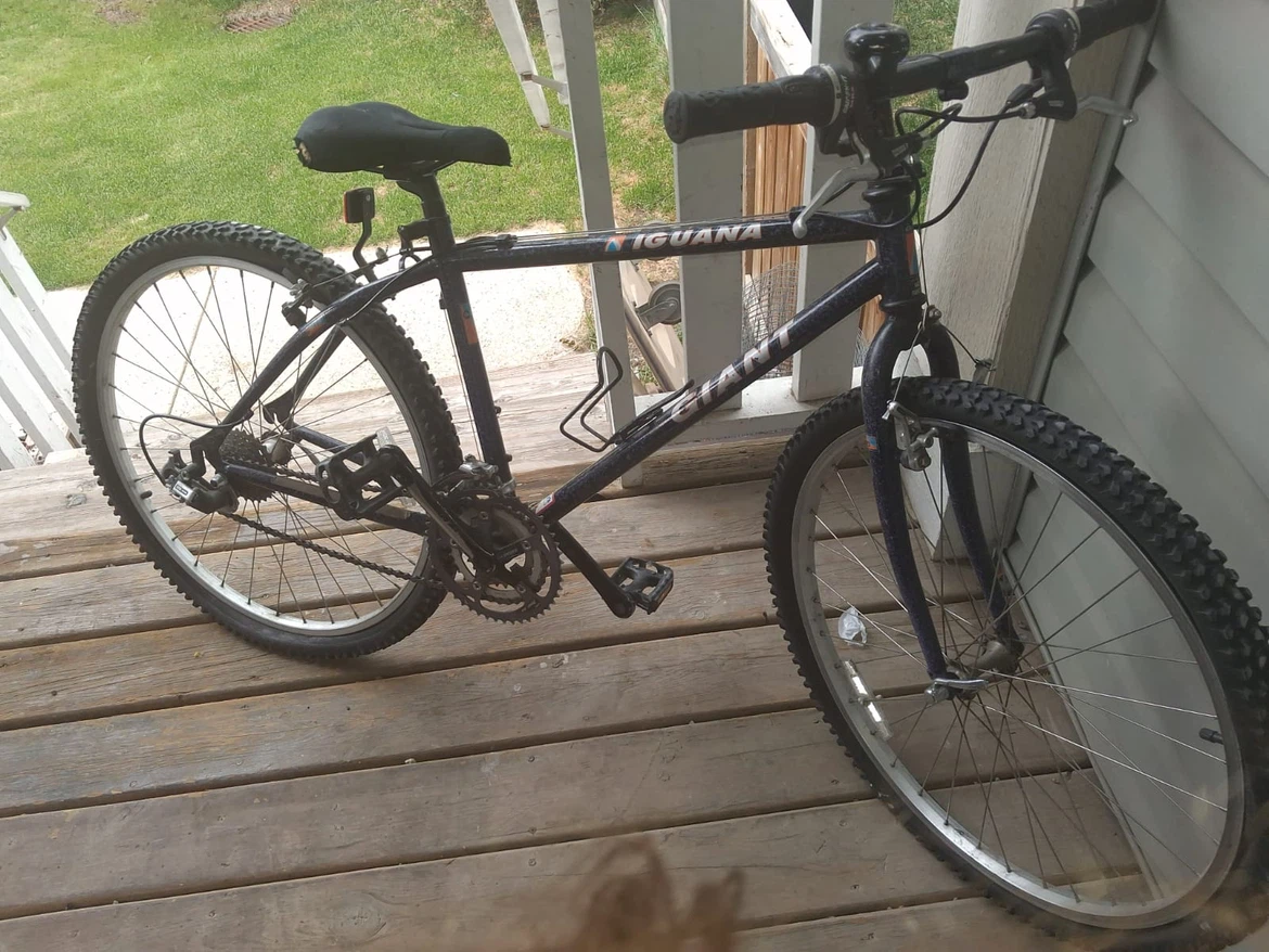 Giant Iguana Mountain Bike - photo 5
