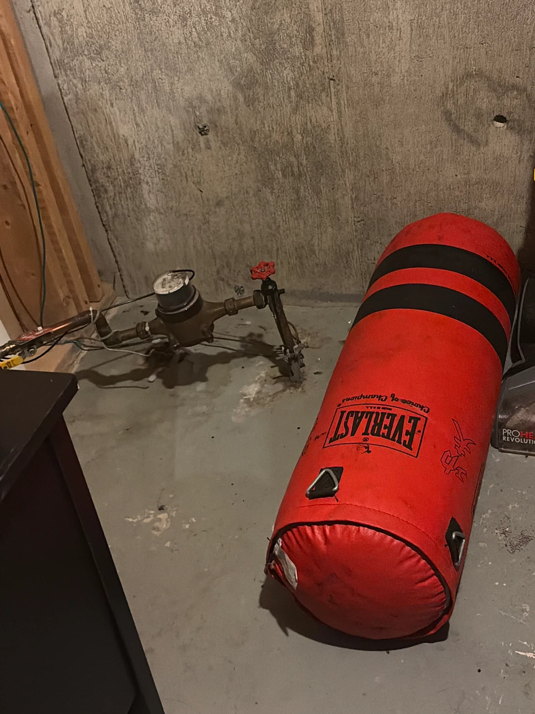 Everlast Punching Bag