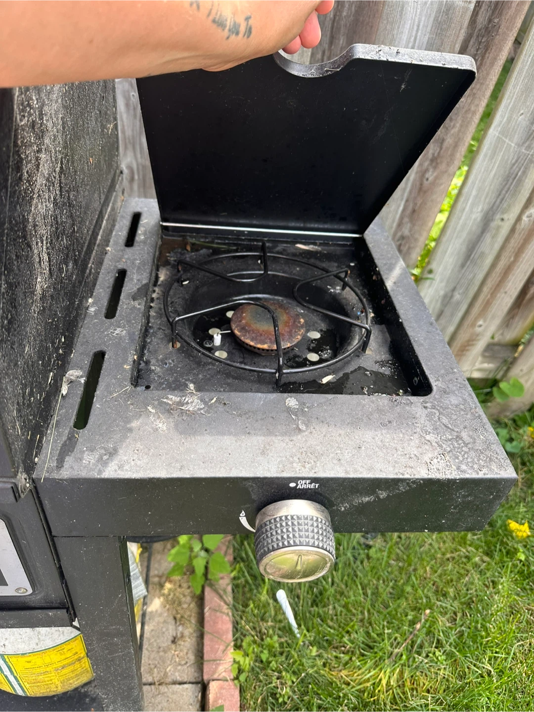BBQ Charcoal & Gas - photo 3