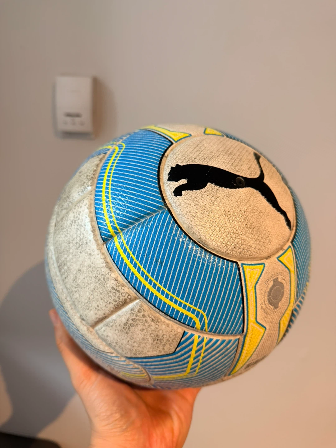 Puma EvoSpeed FIFA Quality Match Ball - photo 2