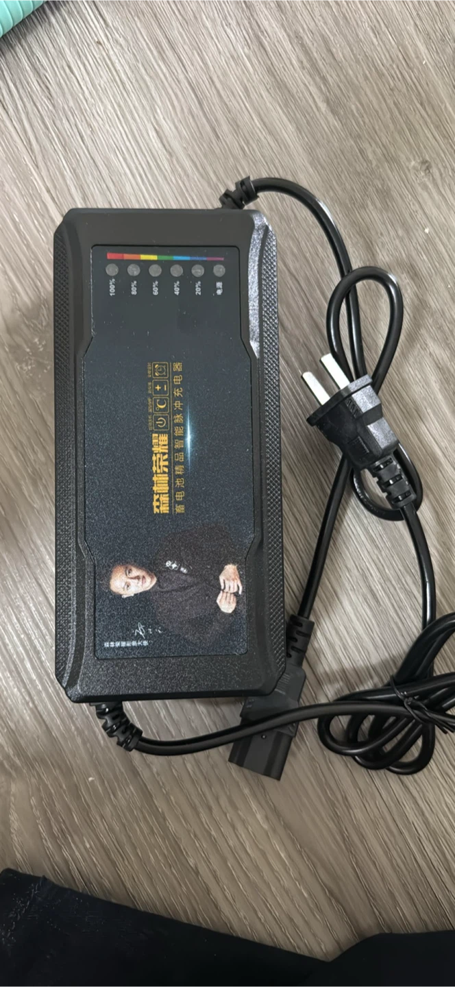 Electric Bike/Scooter Battery Charger - photo 4