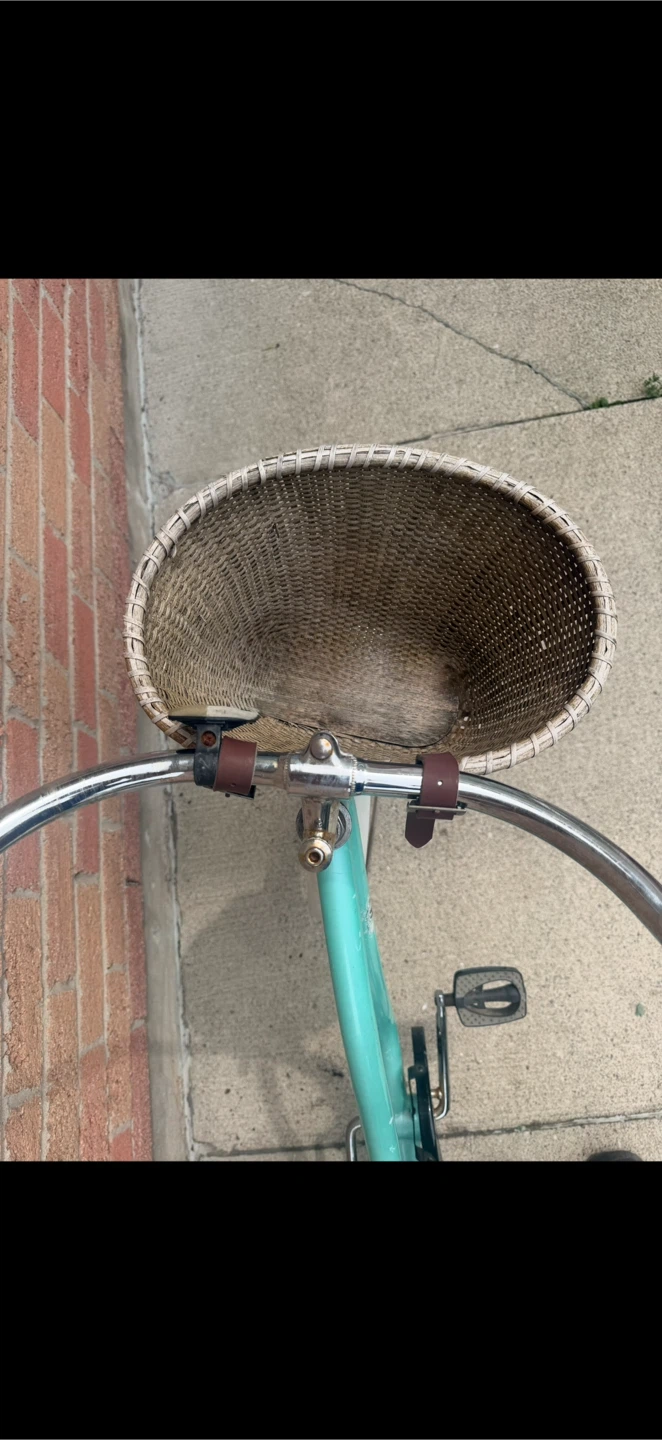 Fashionable Bike with Storage Basket - photo 5