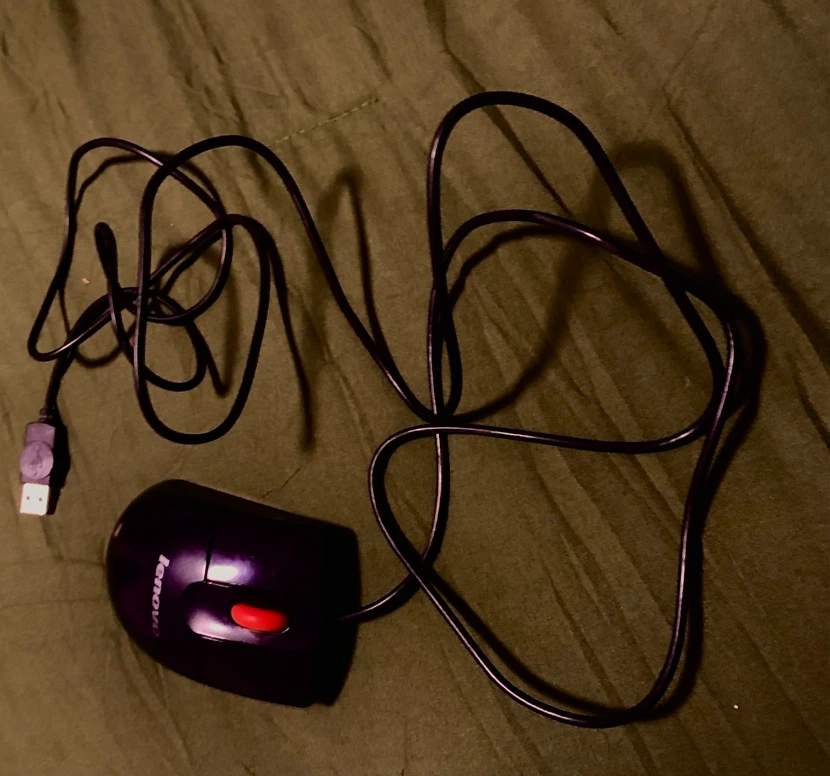 Mouse