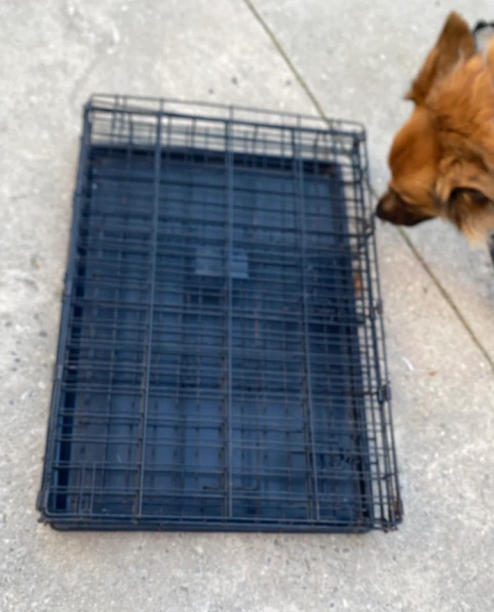 Dog Metal Crate - photo 4