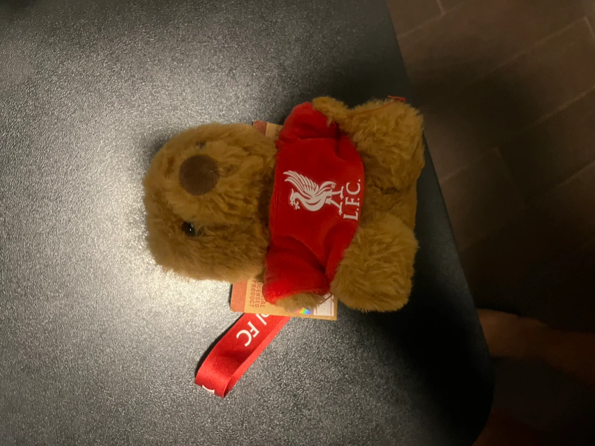 Liverpool FC Darwin Nunez #9 Plush Toy Keychain - photo 2