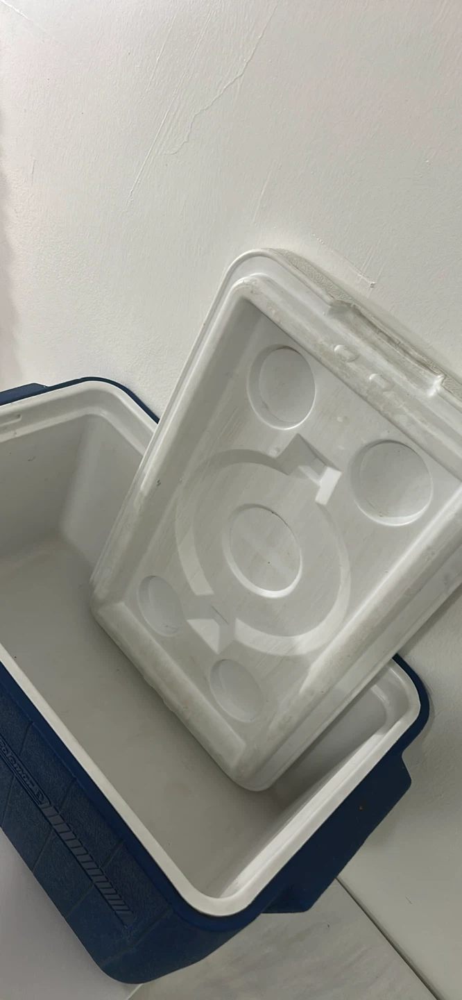 Coleman Cooler - photo 2