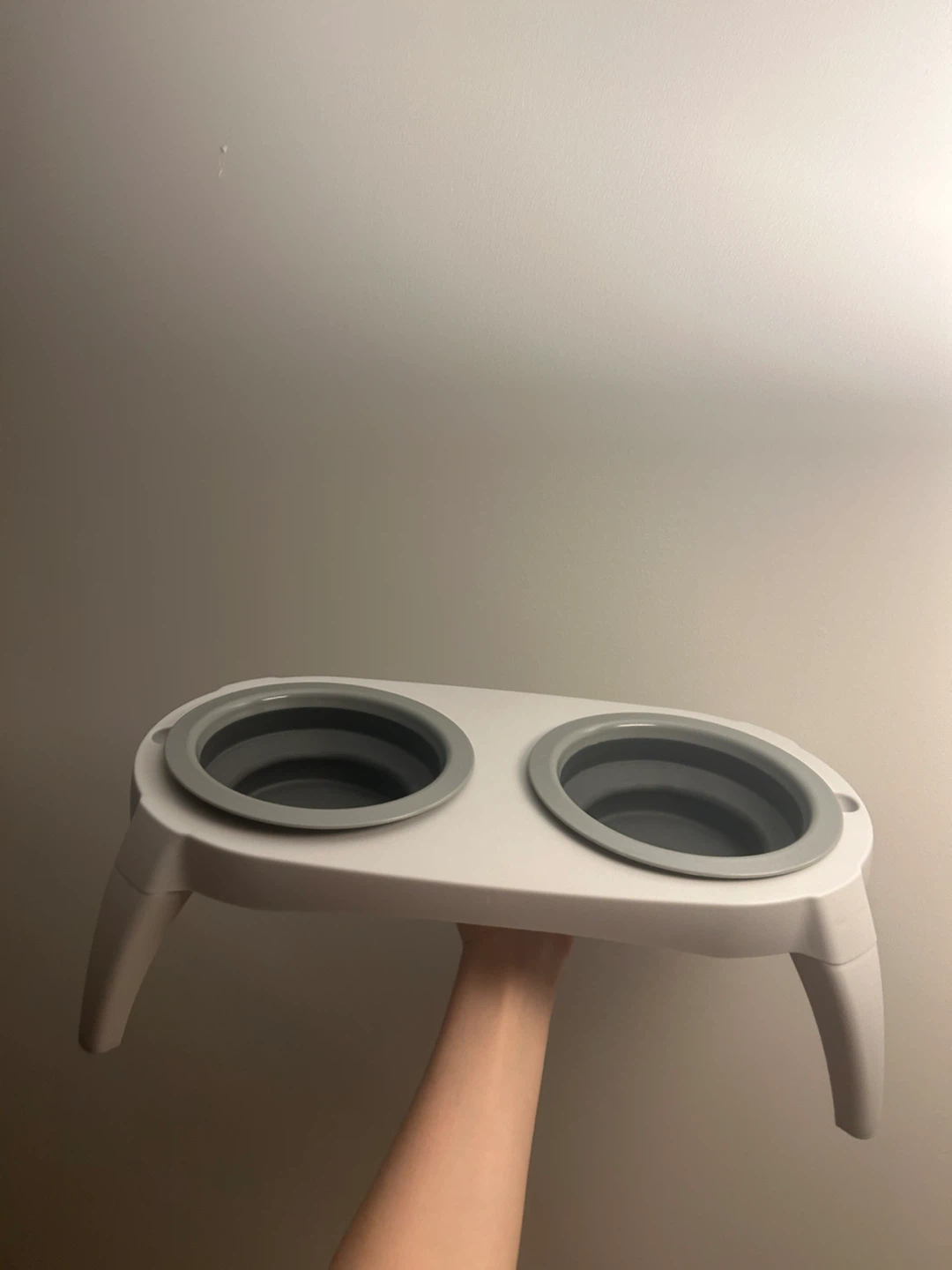 Collapsible Pet Bowl with Stand