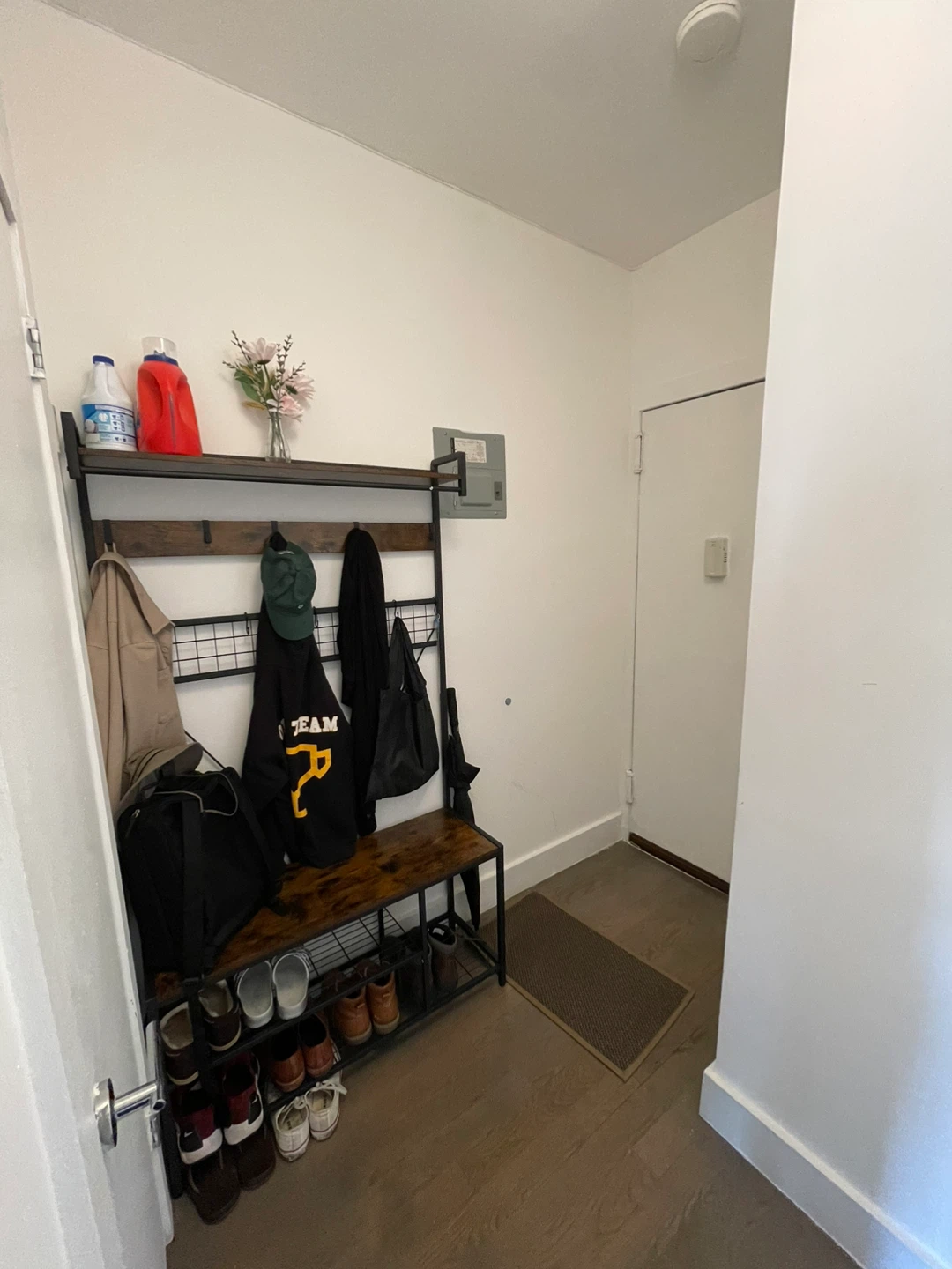 Entrance shoe and coat rack