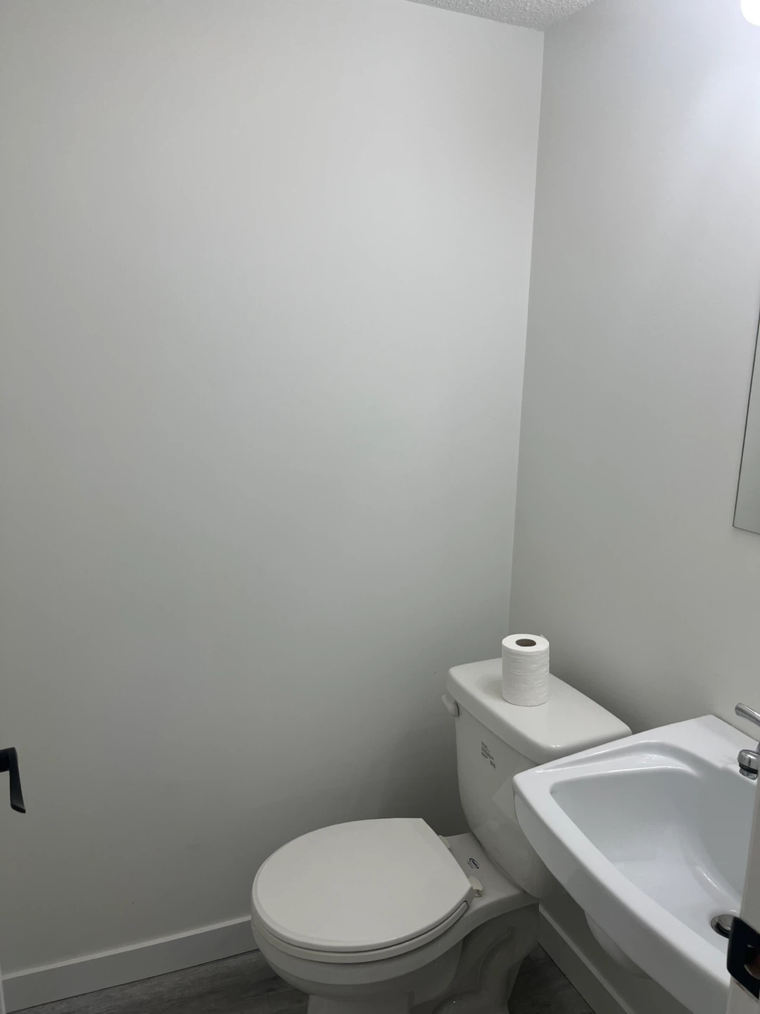 Full townhouse - photo 5