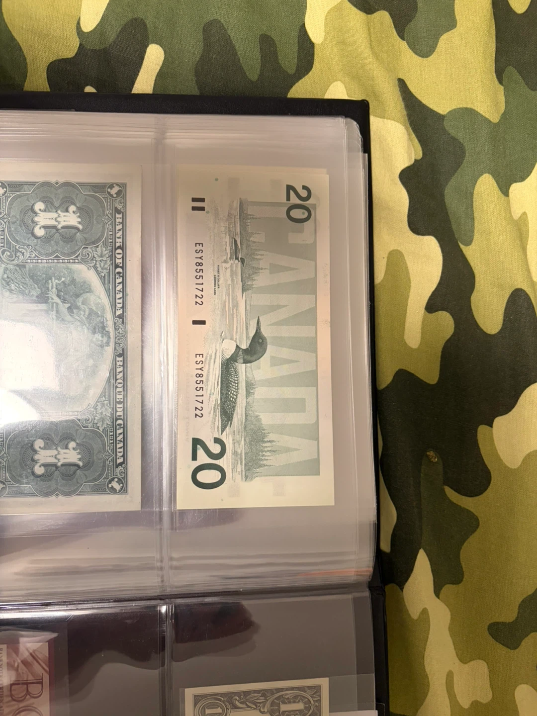 Canadian $20 Bank Note - photo 2