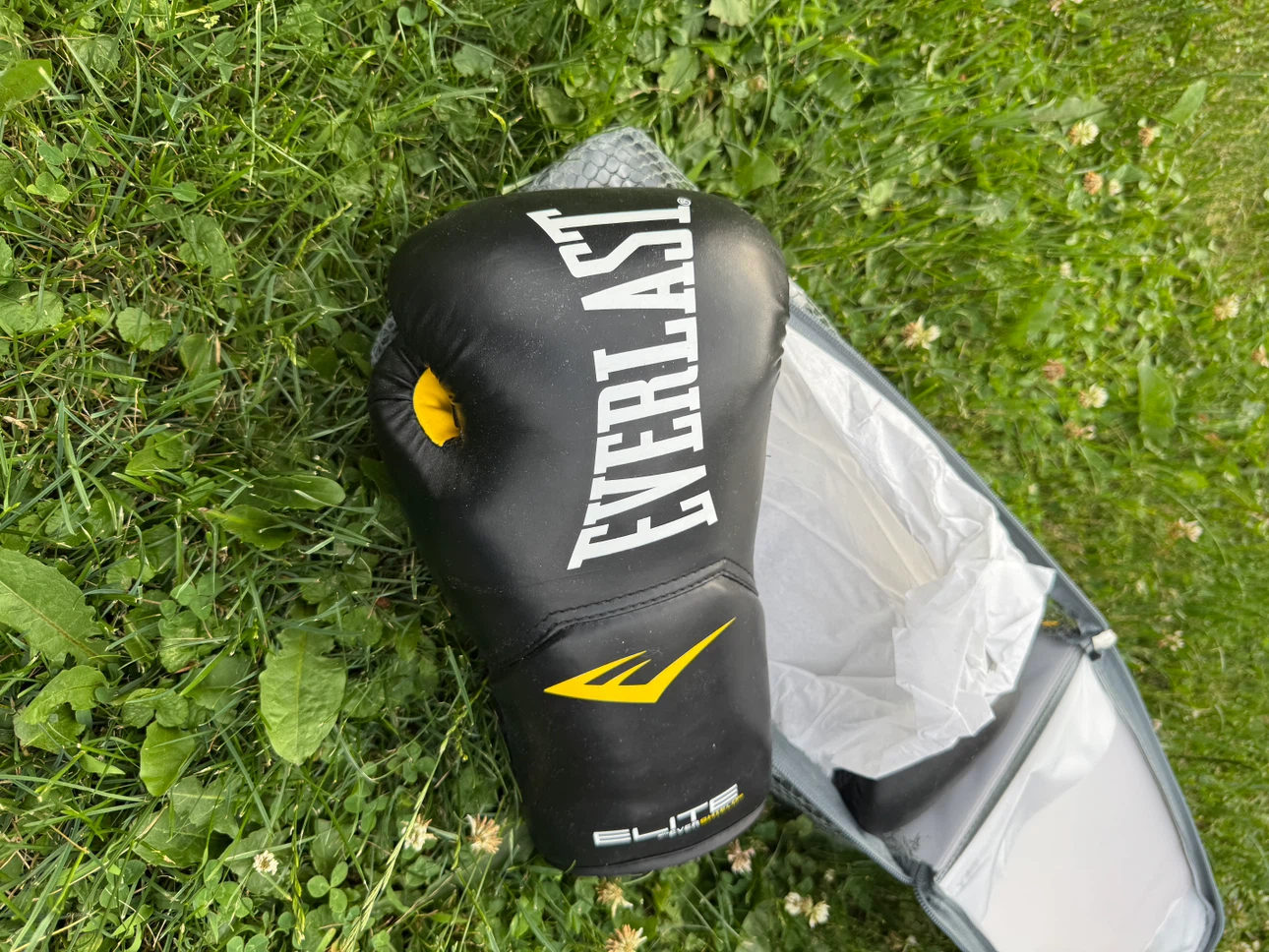 Everlast Elite Pro Style Training Gloves – 12 oz - photo 2