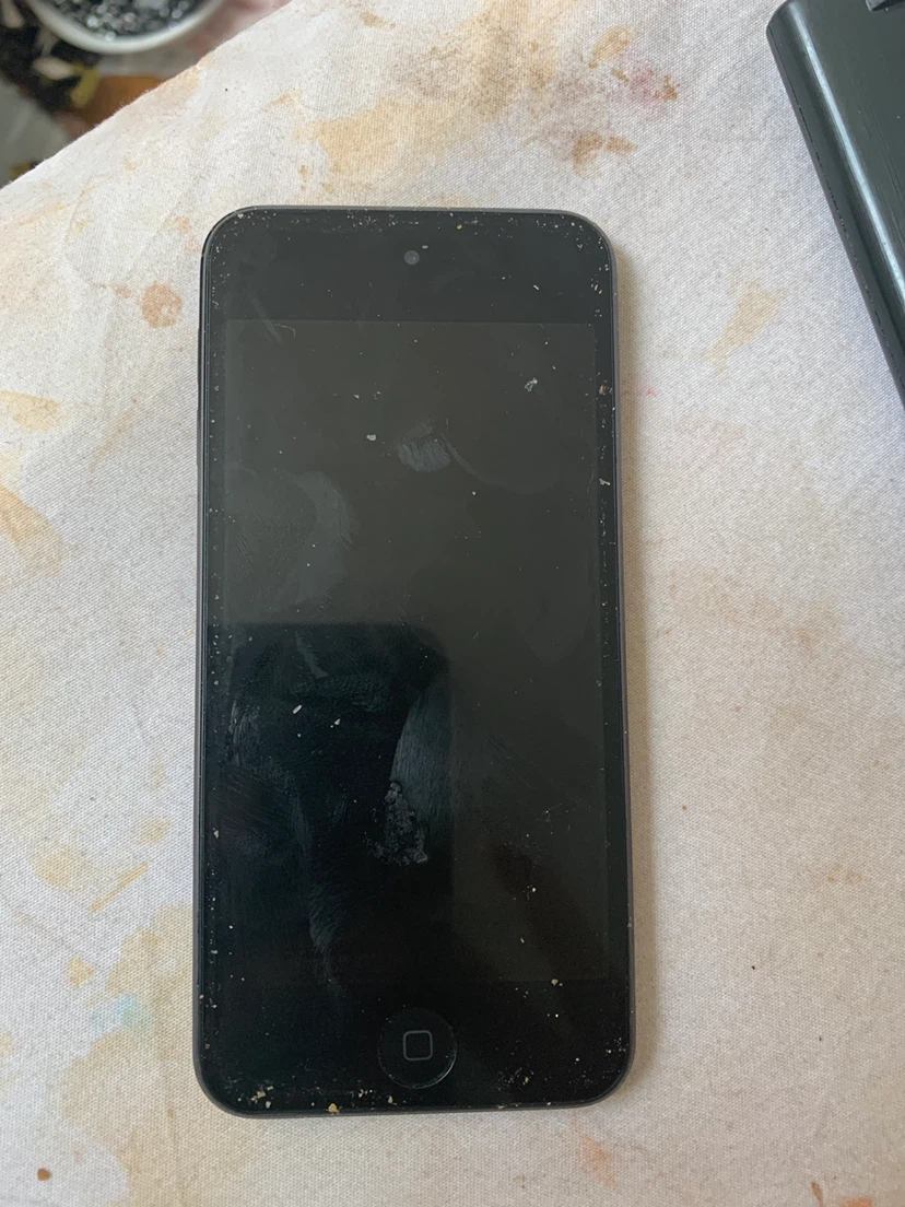 Apple iPod Touch - photo 2