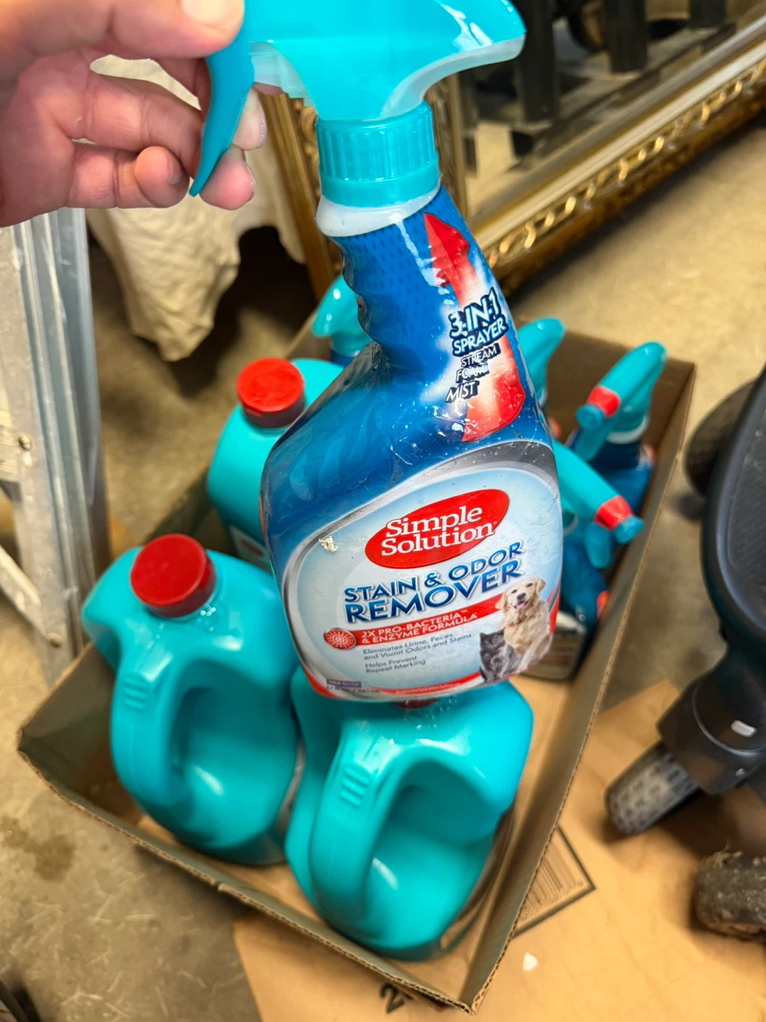 Stain & Odor Remover