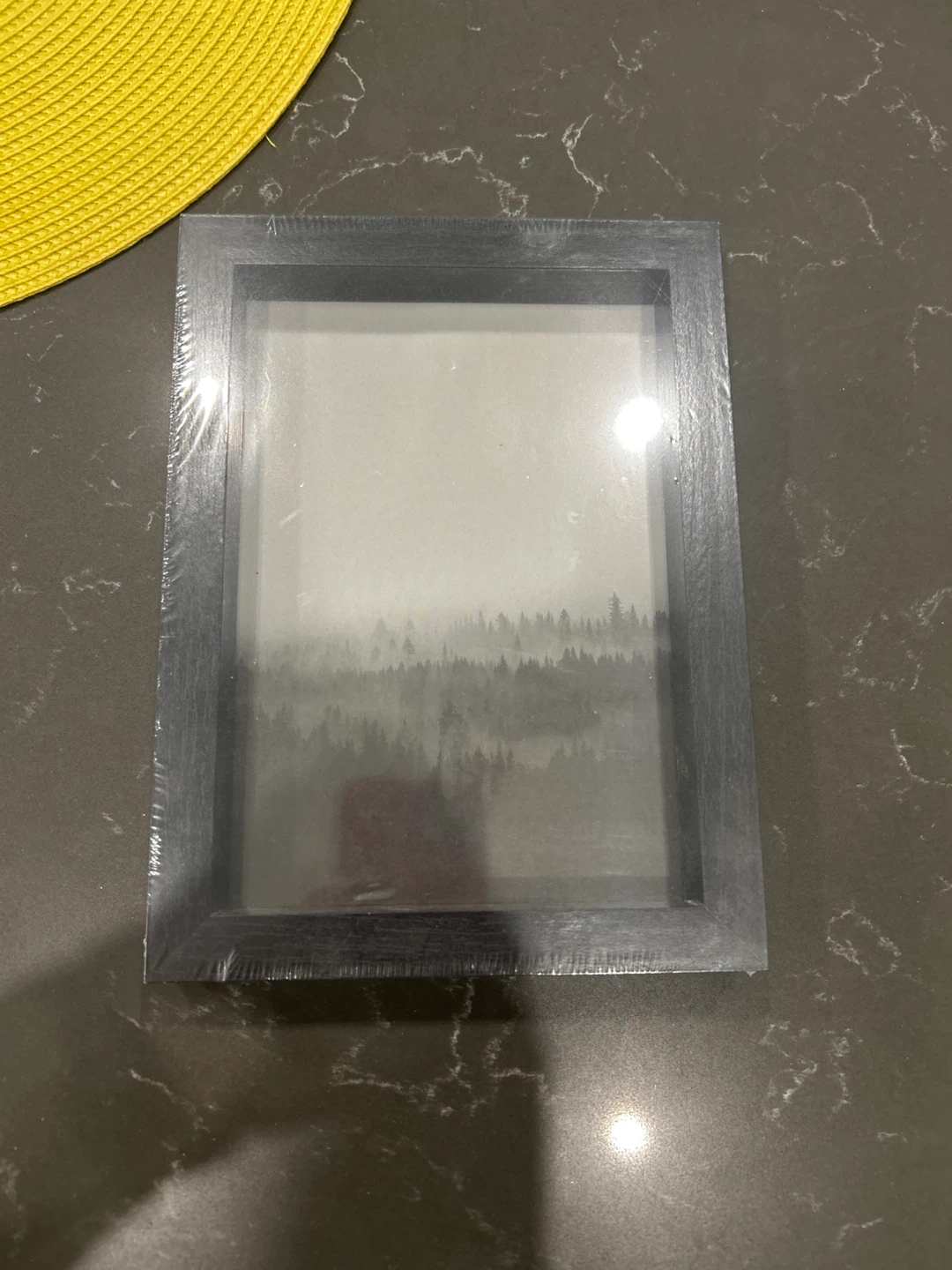 Framed Print with Forest Scene