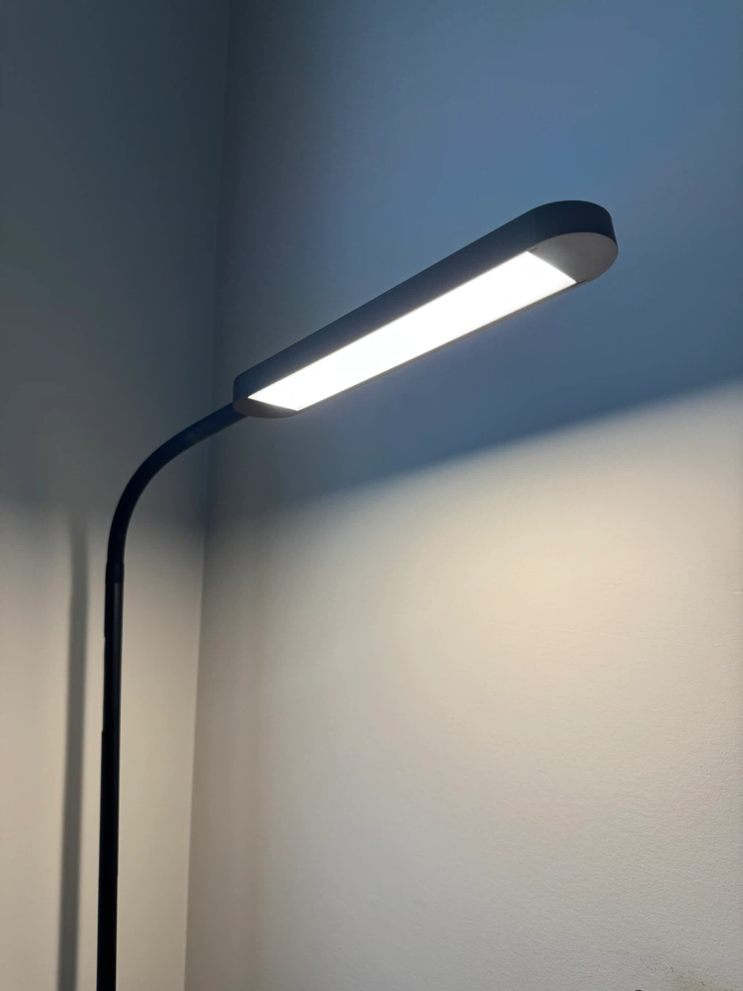 Modern LED Floor Lamp with Remote Control - photo 5