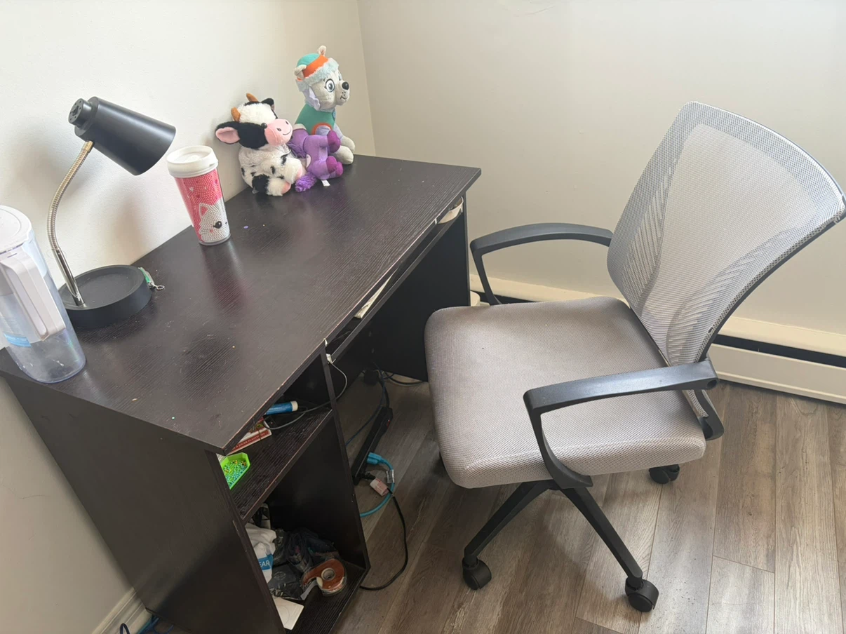 Mesh back office chair