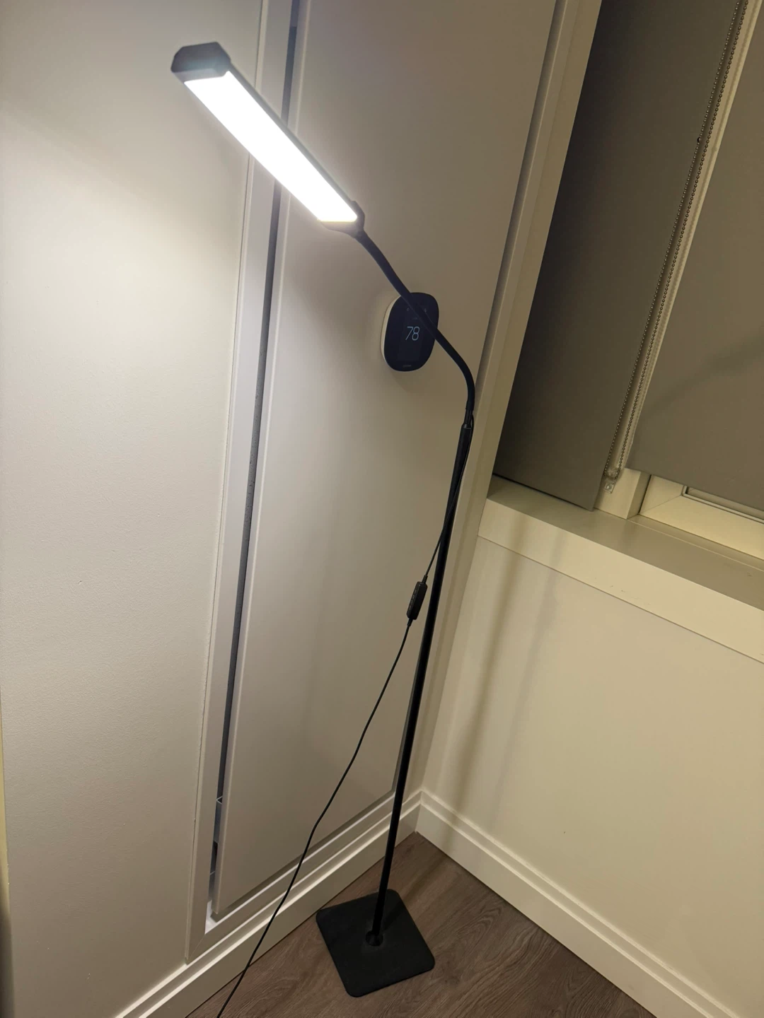 Adjustable LED Floor Lamp