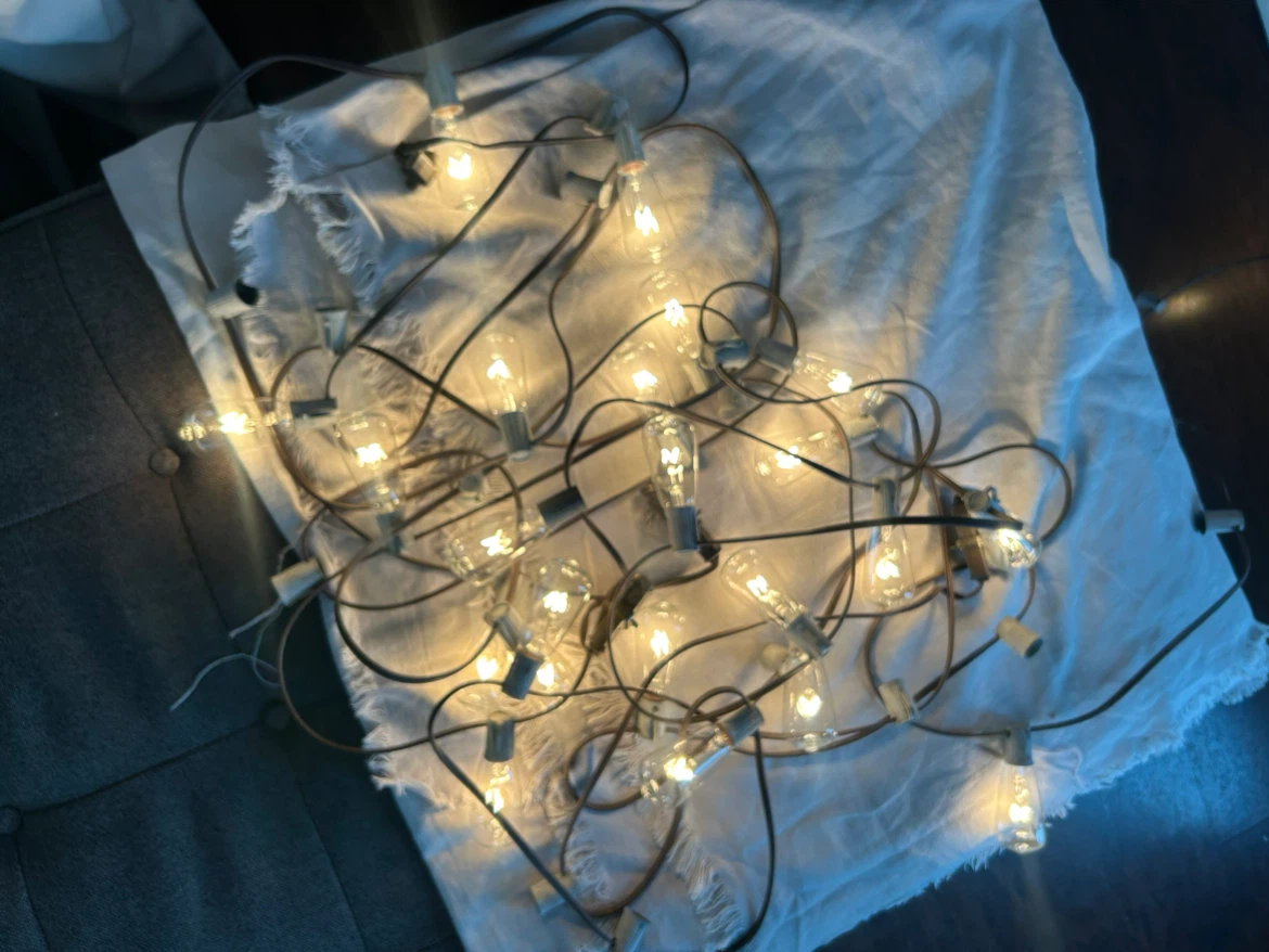 CANVAS Outdoor Patio String Lights – 40 ft – $45 - photo 2