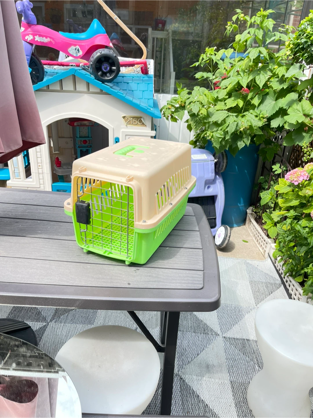 Pet Carrier