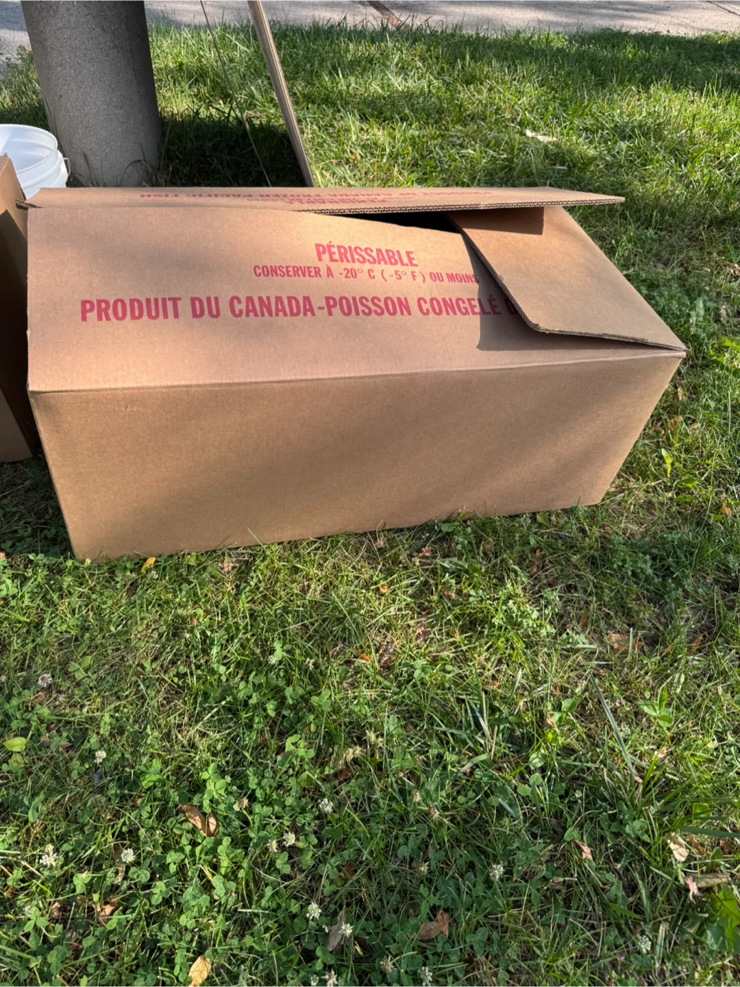 FREE – 5 Large Moving/Packing Boxes