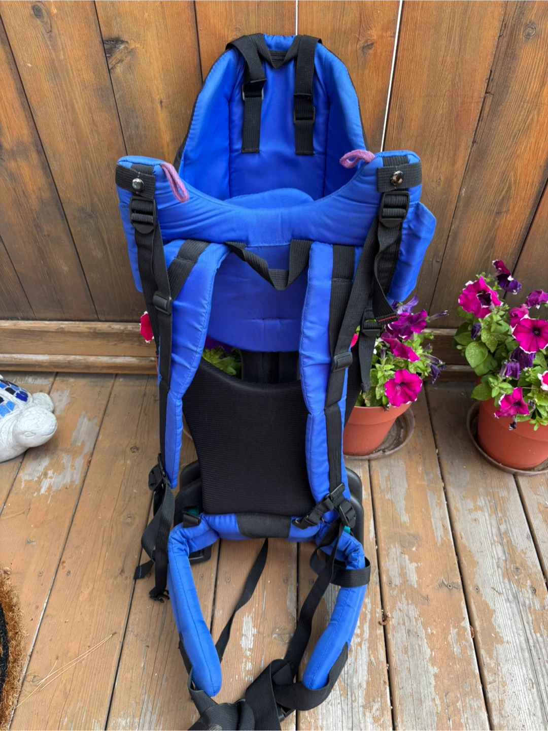 Evenflo Child Carrier Backpack
