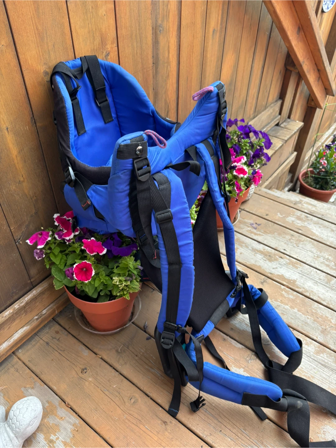 Evenflo Child Carrier Backpack - photo 2