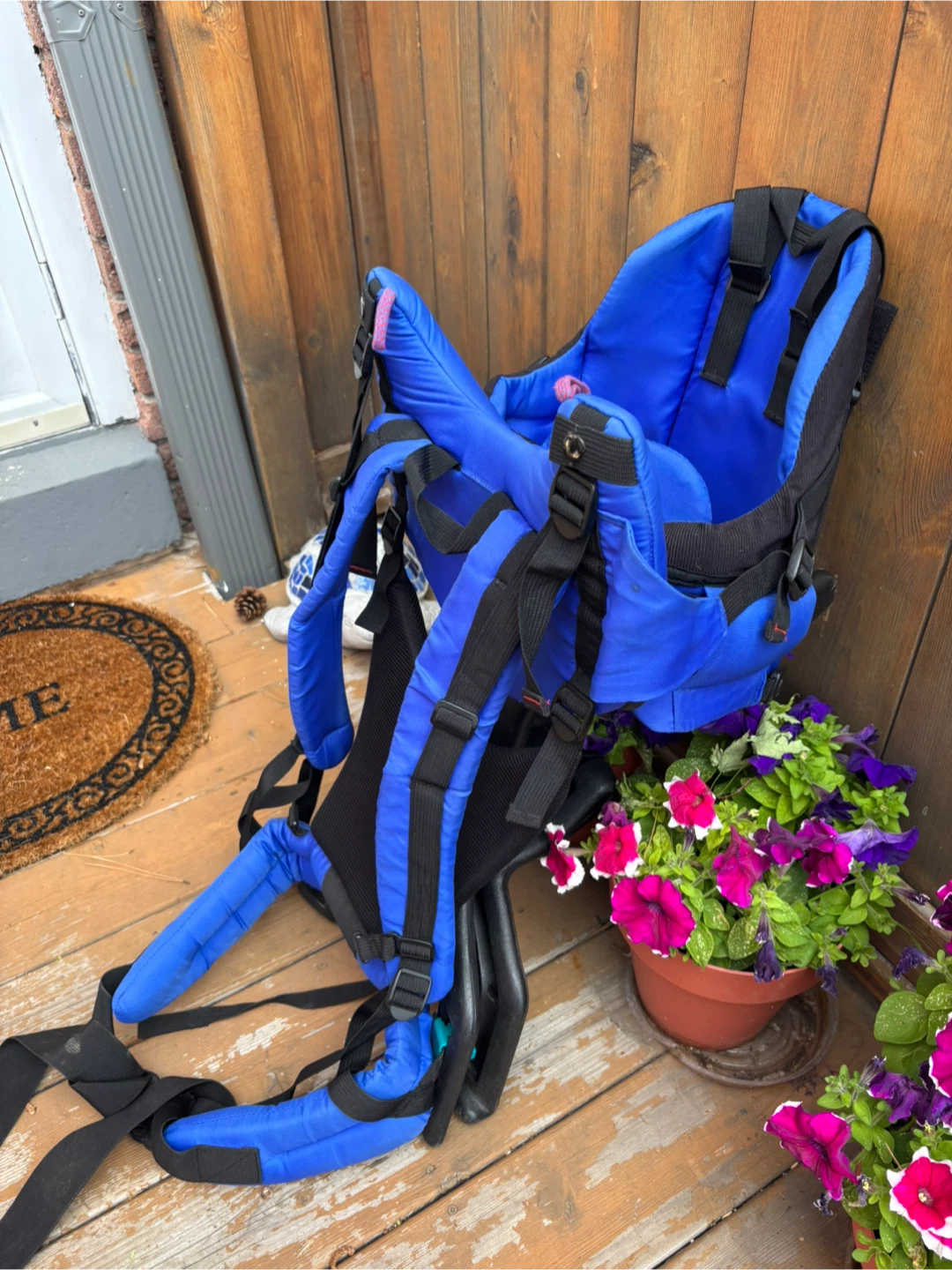Evenflo Child Carrier Backpack - photo 3