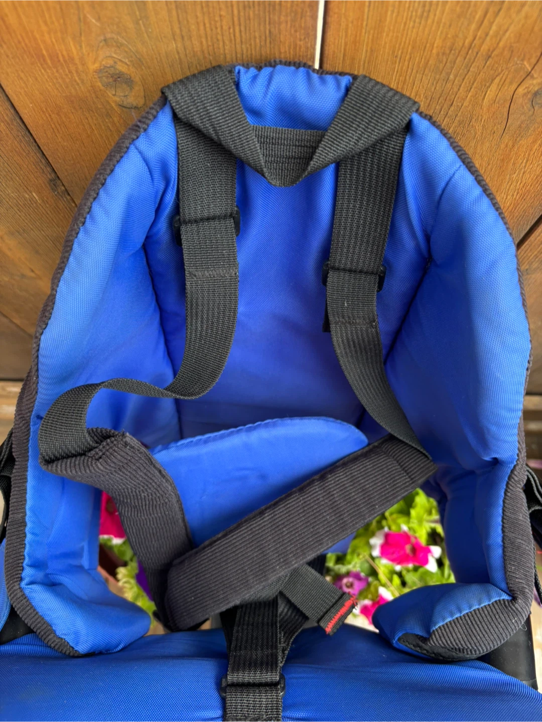 Evenflo Child Carrier Backpack - photo 4