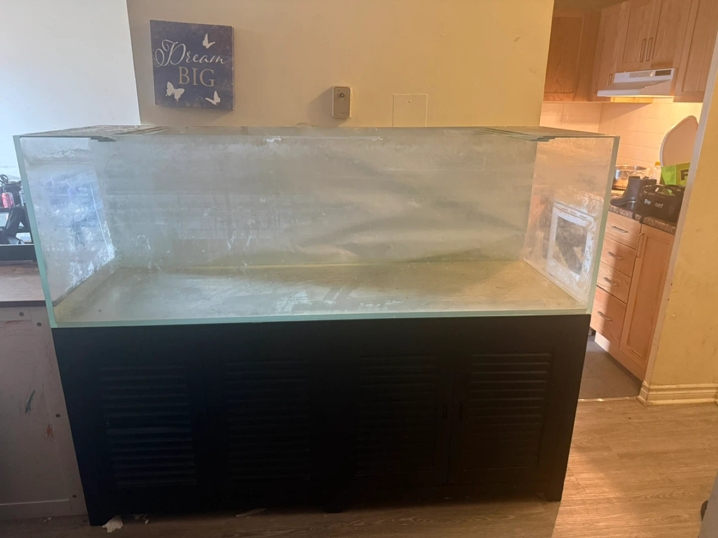 Large 100gallon Aquarium with Stand and canister filter