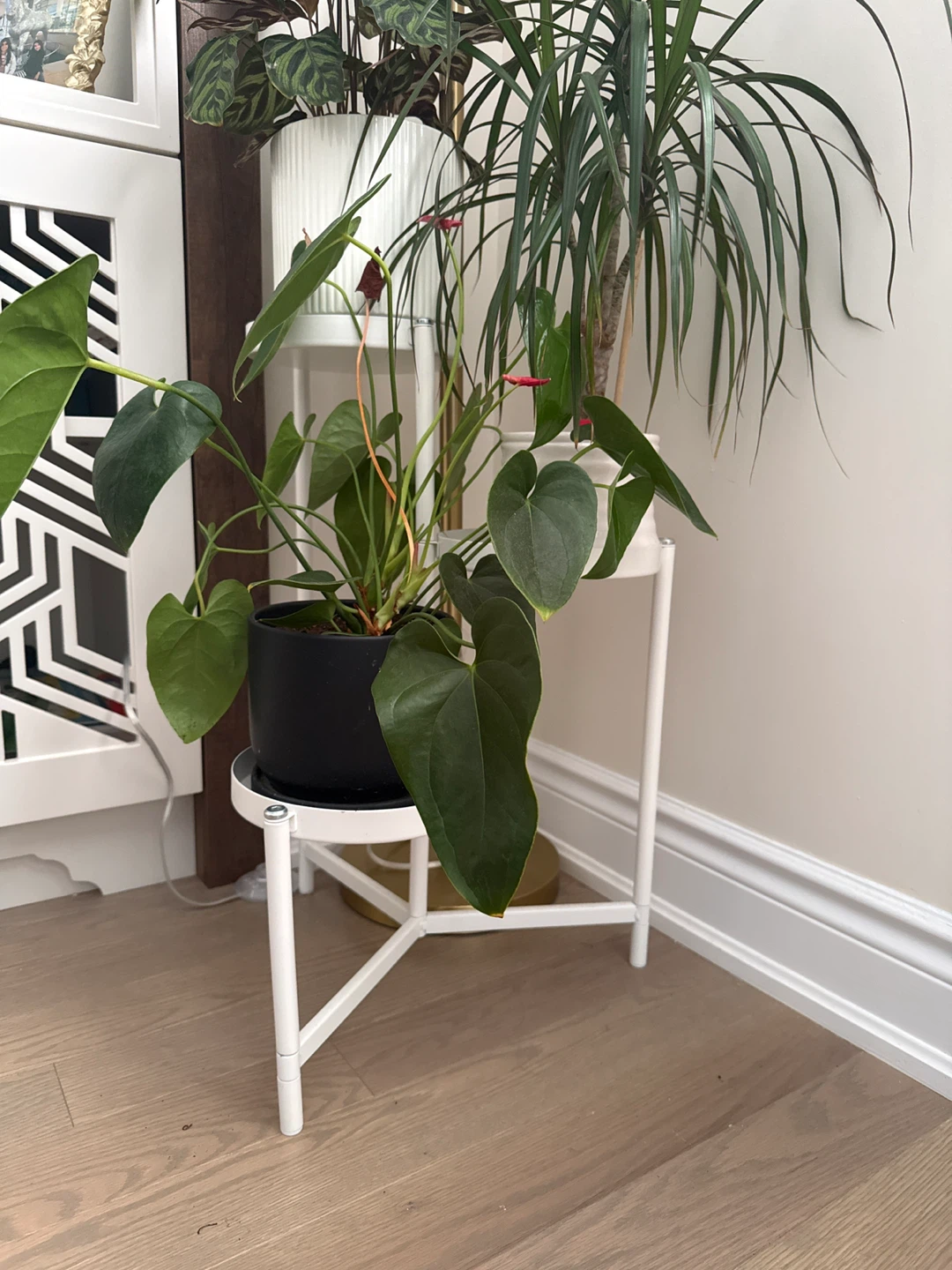 White 3-Tier Plant Stand