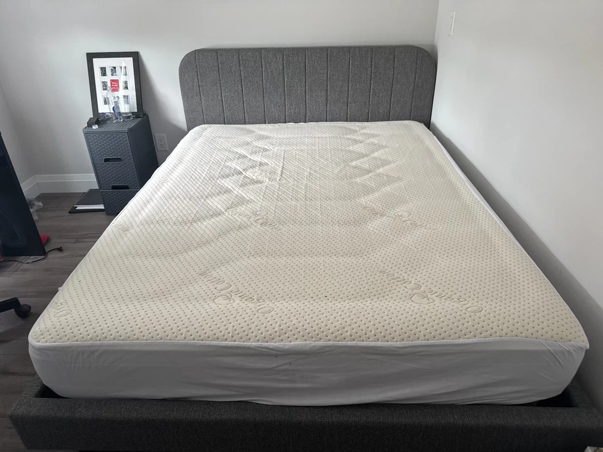 Queen size modern bedframe, and mattress - photo 3