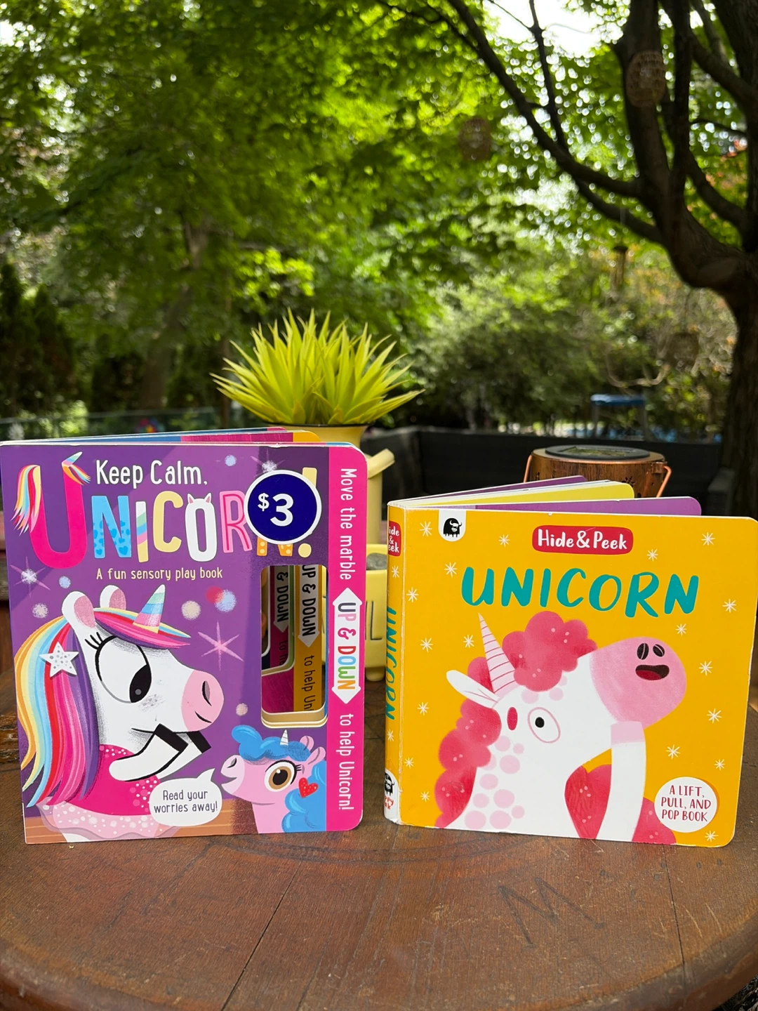 UNICORN Book Bundle