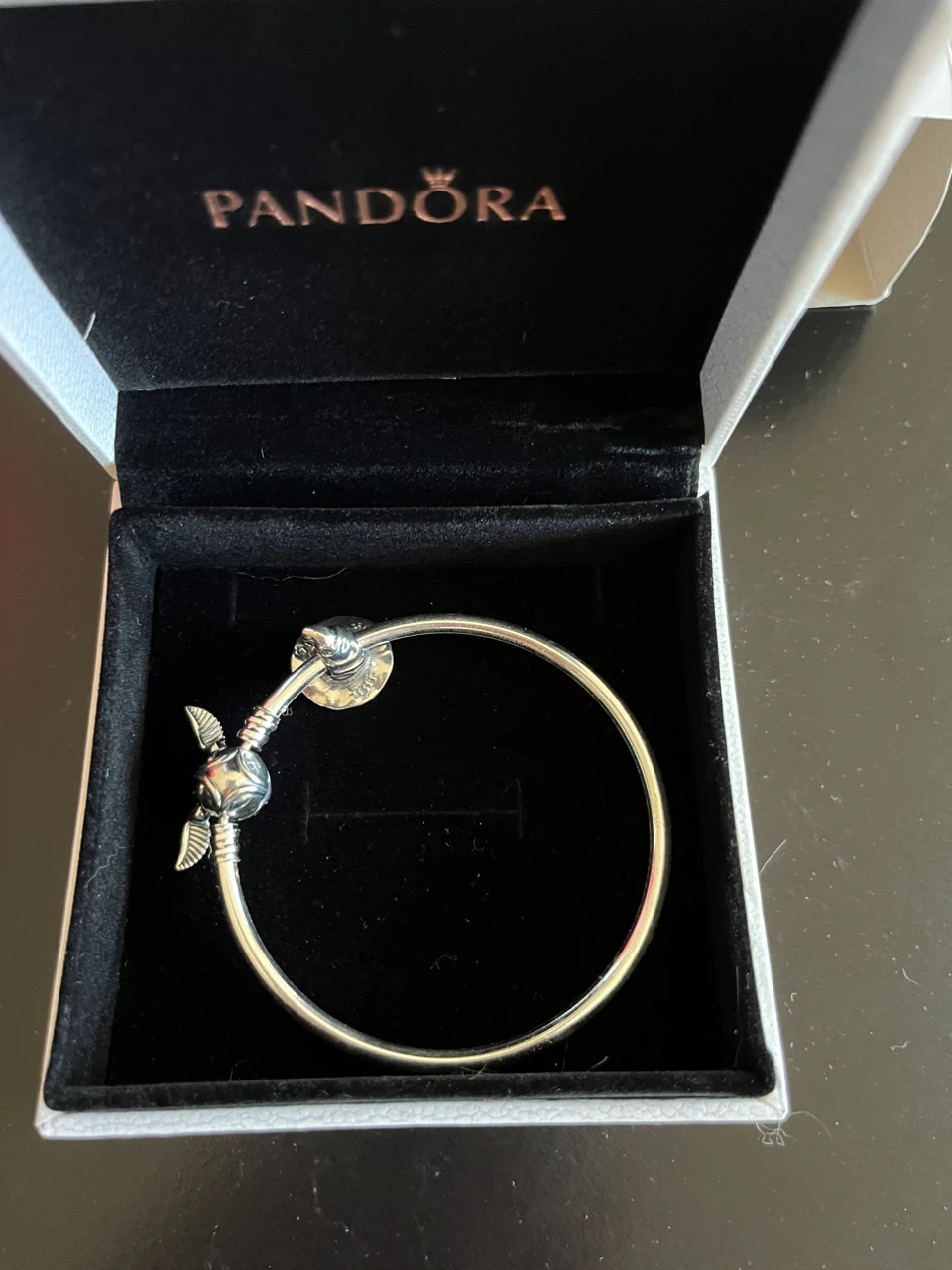 Pandora Sterling Silver Bangle with Charm