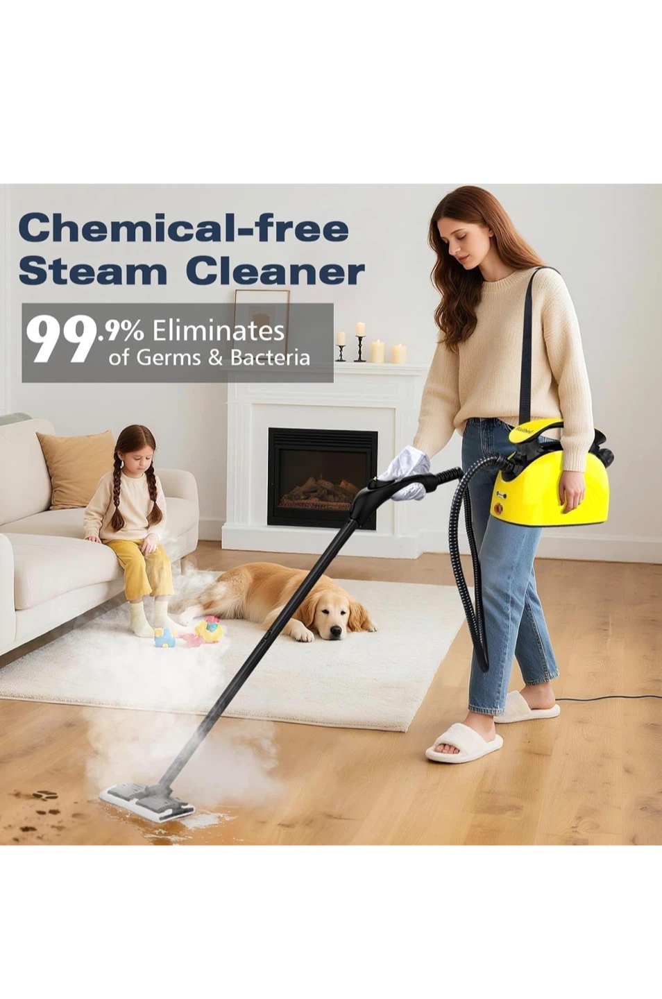 Waitbird Multipurpose Powerful Steam Cleaner